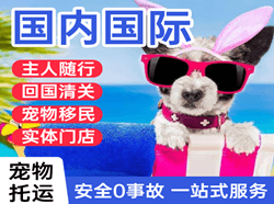 遥墙航空运输国际宠物托运 【国